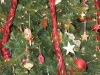 resized_PICT0165
