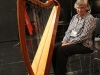 13c harp